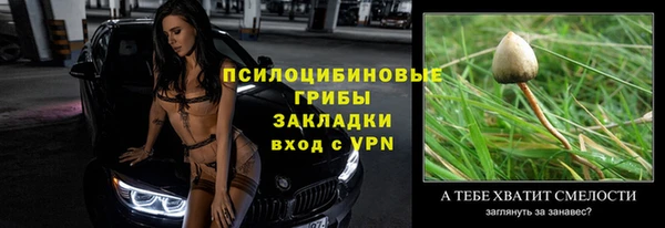 мет Каменногорск