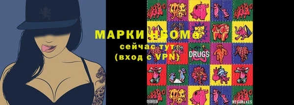 МДПВ Каменка
