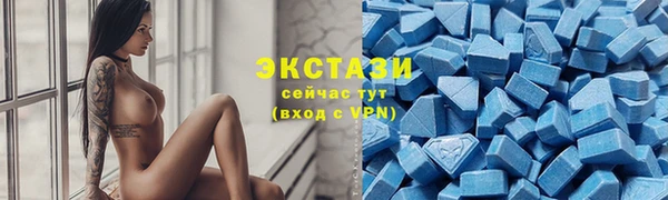 МДПВ Каменка