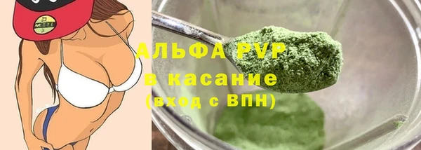 МДПВ Каменка
