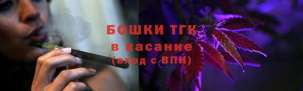 МДПВ Каменка