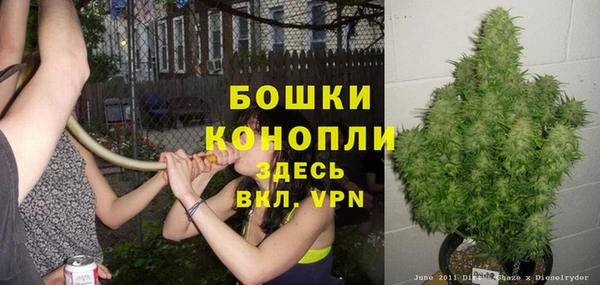 МДПВ Каменка