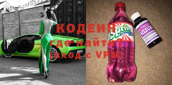 МДПВ Каменка
