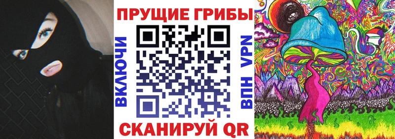 Галлюциногенные грибы Psilocybe  ссылка на мегу онион  Ярославль  где купить наркотик 